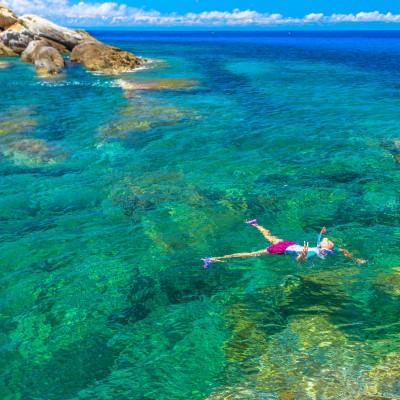 Elba Island: a diving paradise!